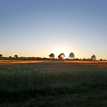 Agermosegaard アパート アッセンズ